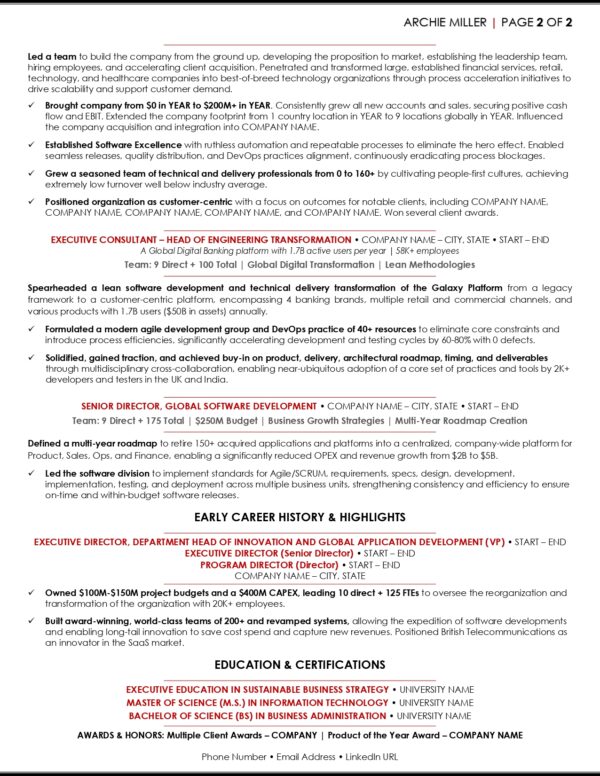 C Level Executive Resume Samples - C Level Resume Sample Chief Executive Officer Page 0002 600x776 